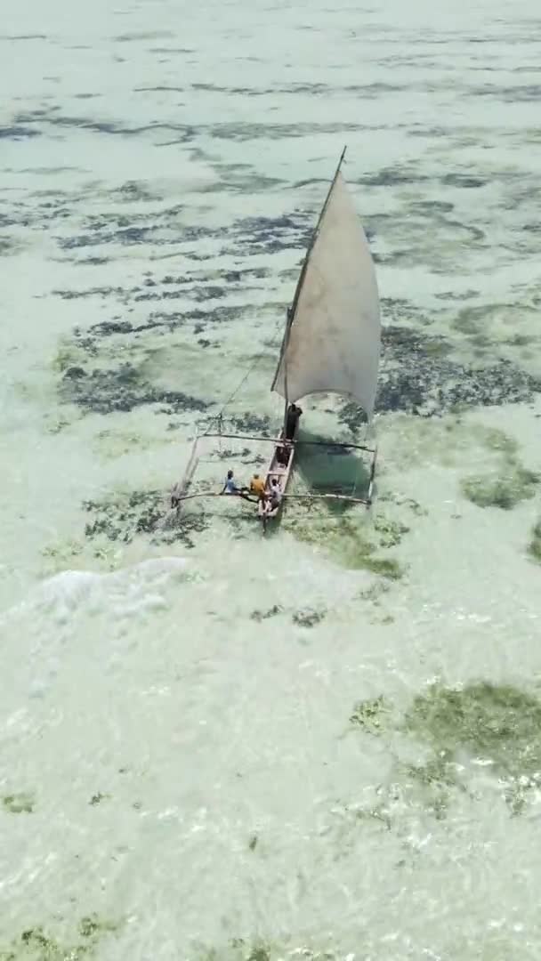 Video barche verticali nell'oceano vicino alla costa di Zanzibar, Tanzania, vista aerea — Video Stock