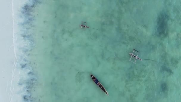 Video barcos verticales en el océano cerca de la costa de Zanzíbar, Tanzania, vista aérea — Vídeo de stock