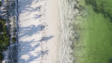 Zanzibar, Tanzanya kıyısı yakınlarındaki okyanusta dikey video tekneleri.