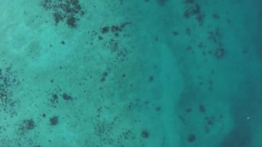 Zanzibar, Tanzanya kıyısı yakınlarındaki okyanusta dikey video tekneleri.