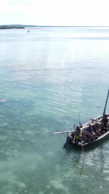 Zanzibar, Tanzanya kıyısı yakınlarındaki okyanusta dikey video tekneleri.