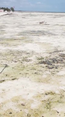 Zanzibar, Tanzanya kıyısı yakınlarındaki okyanusta dikey video tekneleri.