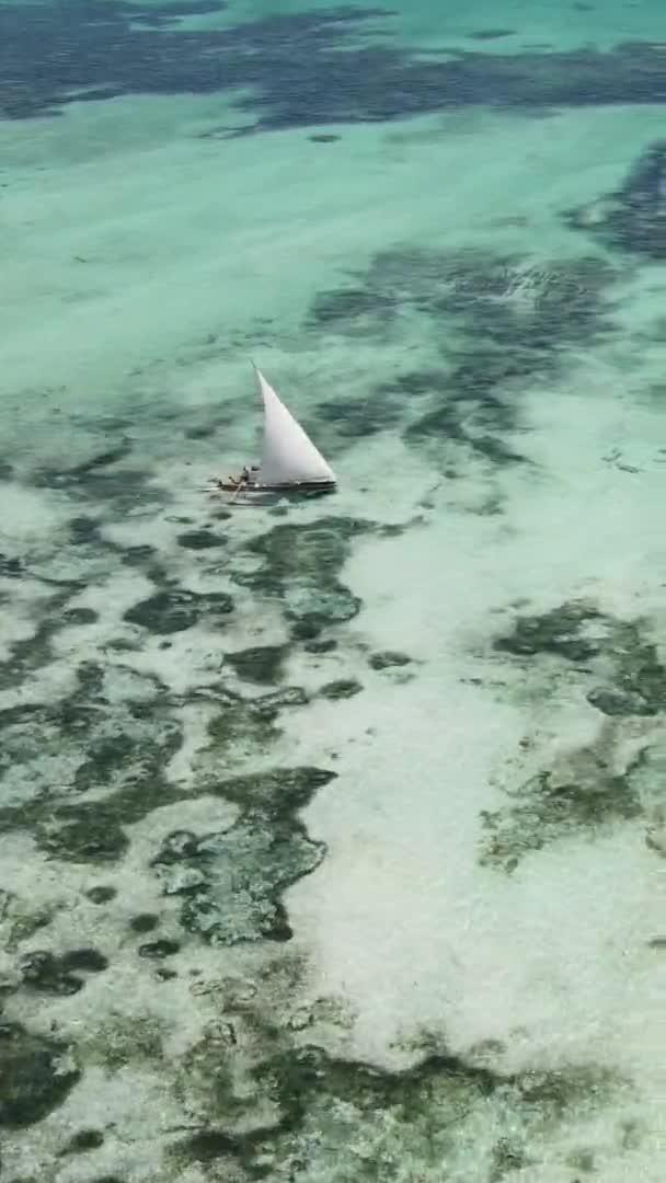 Video barcos verticales en el océano cerca de la costa de Zanzíbar, Tanzania, vista aérea — Vídeos de Stock