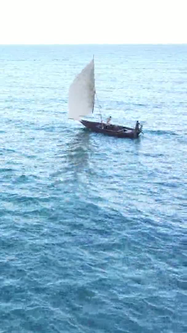 Vertical video boats in the ocean near the coast of Zanzibar, Tanzania, widok z lotu ptaka — Wideo stockowe