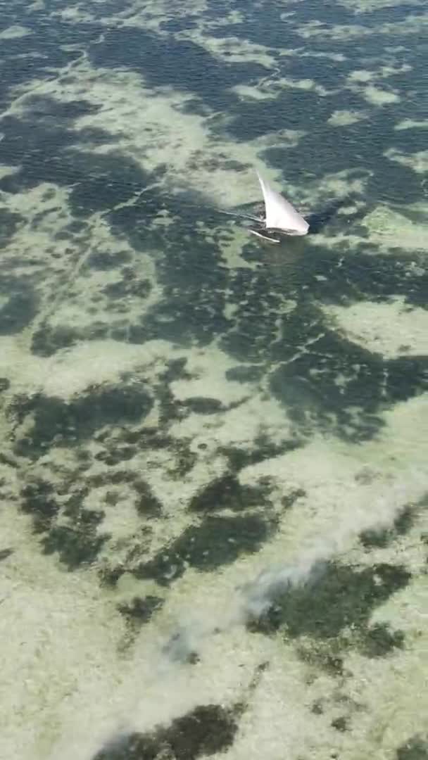 Verticale videoboten in de oceaan bij de kust van Zanzibar, Tanzania, luchtfoto 's — Stockvideo