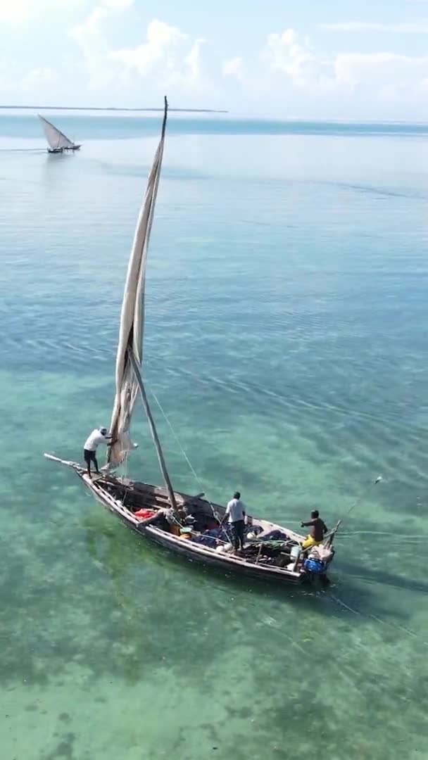 Video barche verticali nell'oceano vicino alla costa di Zanzibar, Tanzania, vista aerea — Video Stock