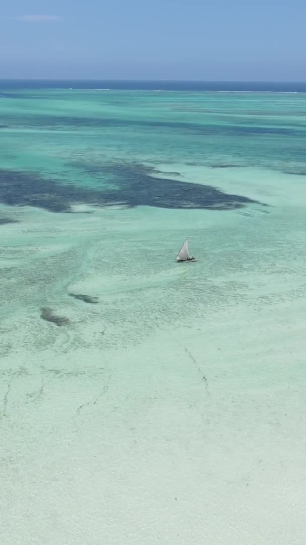 Függőleges videohajók az óceán partjainál Zanzibár, Tanzánia, légi felvétel — Stock videók