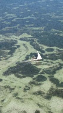 Zanzibar, Tanzanya kıyısı yakınlarındaki okyanusta dikey video tekneleri.