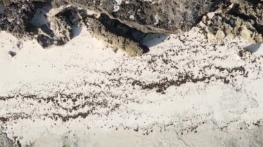 Tanzanya 'daki Zanzibar adasında boş bir kumsal, hava manzaralı.