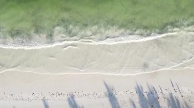 Tanzanya 'daki Zanzibar adasında boş bir kumsal, hava manzaralı.