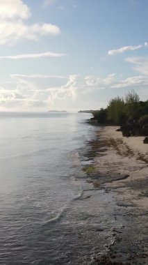 Tanzanya 'daki Zanzibar adasında boş bir kumsal, hava manzaralı.