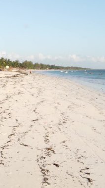 Tanzanya 'daki Zanzibar adasında boş bir kumsal, hava manzaralı.