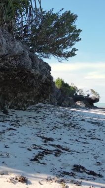 Tanzanya 'daki Zanzibar adasında boş bir kumsal, hava manzaralı.