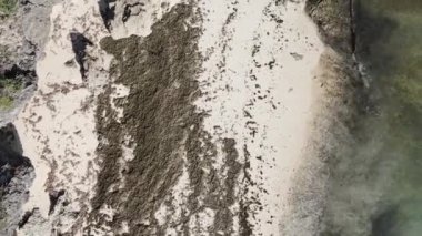 Tanzanya 'daki Zanzibar adasında boş bir kumsal, hava manzaralı.
