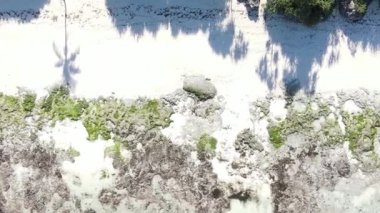 Tanzanya 'daki Zanzibar adasında boş bir kumsal, hava manzaralı.