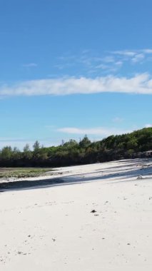 Tanzanya 'daki Zanzibar adasında boş bir kumsal, hava manzaralı.