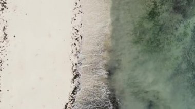 Tanzanya 'daki Zanzibar adasında boş bir kumsal, hava manzaralı.