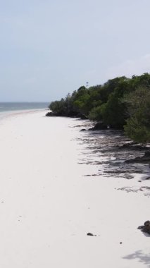 Tanzanya 'daki Zanzibar adasında boş bir kumsal, hava manzaralı.