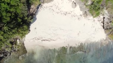 Tanzanya 'daki Zanzibar adasında boş bir kumsal, hava manzaralı.