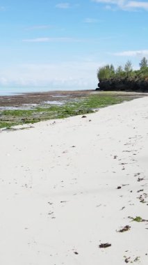 Tanzanya 'daki Zanzibar adasında boş bir kumsal, hava manzaralı.