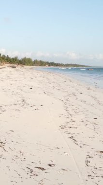 Tanzanya 'daki Zanzibar adasında boş bir kumsal, hava manzaralı.