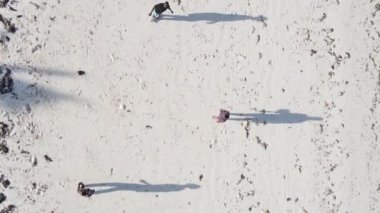 Dikey videocular Zanzibar, Tanzanya sahilinde futbol oynuyorlar.