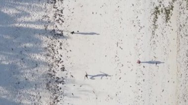 Dikey videocular Zanzibar, Tanzanya sahilinde futbol oynuyorlar.