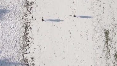 Dikey videocular Zanzibar, Tanzanya sahilinde futbol oynuyorlar.