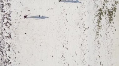 Dikey videocular Zanzibar, Tanzanya sahilinde futbol oynuyorlar.