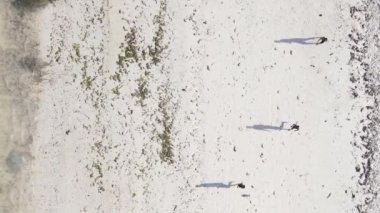 Dikey videocular Zanzibar, Tanzanya sahilinde futbol oynuyorlar.