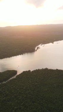 Zanzibar, Tanzanya - yeşil çalılıklarla kaplı okyanus kıyısı, dikey video, hava manzarası