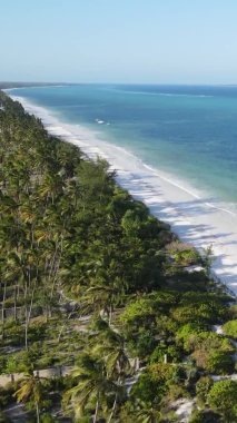 Zanzibar, Tanzanya - yeşil çalılıklarla kaplı okyanus kıyısı, dikey video, hava manzarası