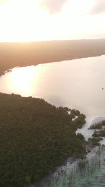 Zanzibar, Tanzanya - yeşil çalılıklarla kaplı okyanus kıyısı, dikey video, hava manzarası