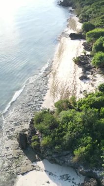 Zanzibar, Tanzanya - yeşil çalılıklarla kaplı okyanus kıyısı, dikey video, hava manzarası
