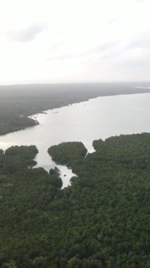 Zanzibar, Tanzanya - yeşil çalılıklarla kaplı okyanus kıyısı, dikey video, hava manzarası