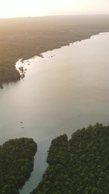 Zanzibar, Tanzanya - yeşil çalılıklarla kaplı okyanus kıyısı, dikey video, hava manzarası