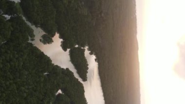 Zanzibar, Tanzanya - yeşil çalılıklarla kaplı okyanus kıyısı, dikey video, hava manzarası