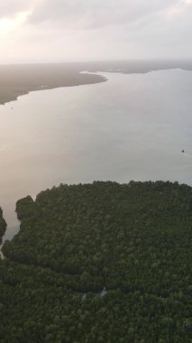 Zanzibar, Tanzanya - yeşil çalılıklarla kaplı okyanus kıyısı, dikey video, hava manzarası