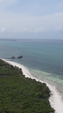 Zanzibar, Tanzanya - yeşil çalılıklarla kaplı okyanus kıyısı, dikey video, hava manzarası