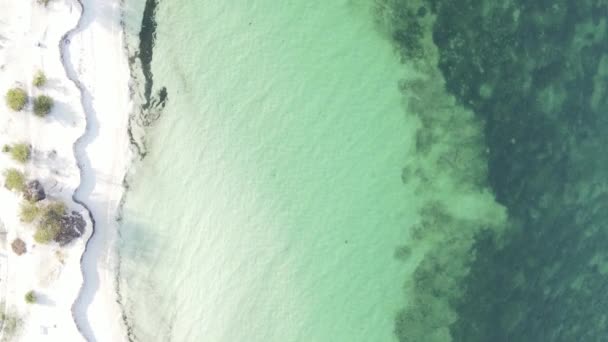 Függőleges videó üres strand a Zanzibár szigeten, Tanzánia, légi felvétel — Stock videók