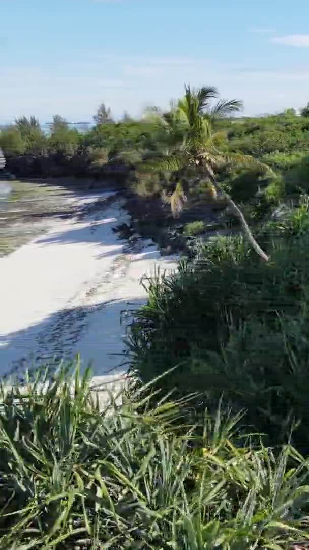 Függőleges videó üres strand a Zanzibár szigeten, Tanzánia, légi felvétel — Stock videók