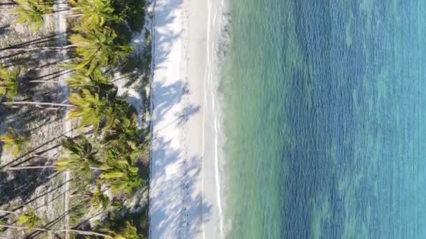Vertikale Video leeren Strand auf der Insel Sansibar, Tansania, Luftaufnahme — Stockvideo