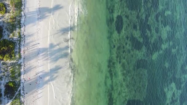 Függőleges videó üres strand a Zanzibár szigeten, Tanzánia, légi felvétel — Stock videók