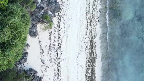 Vídeo vertical praia vazia na ilha de Zanzibar, Tanzânia, vista aérea — Vídeo de Stock