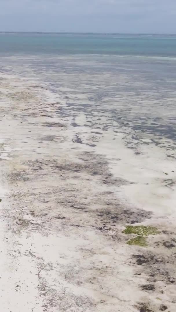 Vídeo vertical playa vacía en la isla de Zanzíbar, Tanzania, vista aérea — Vídeos de Stock