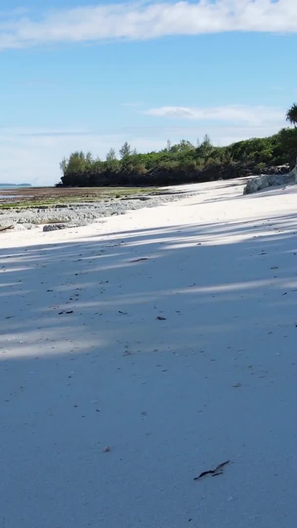 Függőleges videó üres strand a Zanzibár szigeten, Tanzánia, légi felvétel — Stock videók