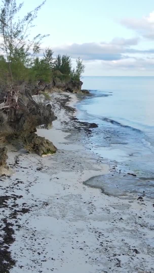Pionowa plaża na wyspie Zanzibar, Tanzania, widok z lotu ptaka — Wideo stockowe