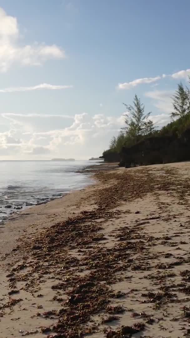 탄자니아 잔지바르 섬에 있는 수직 영상비어 있는 해변, 공중에서 본 장면 — 비디오