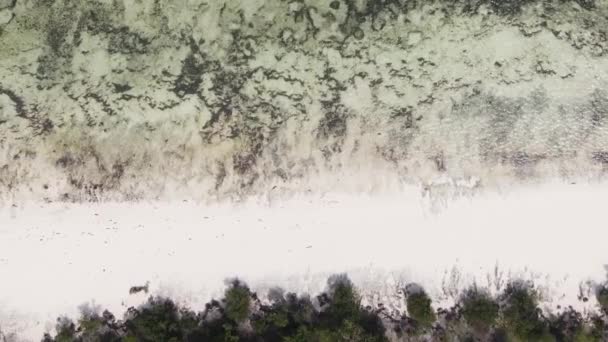 Verticale video leeg strand op Zanzibar eiland, Tanzania, luchtfoto — Stockvideo
