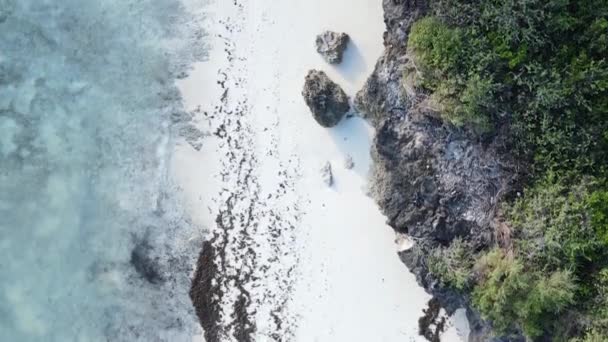 Вертикальное видео пустой пляж на острове Занзибар, Танзания, вид с воздуха — стоковое видео